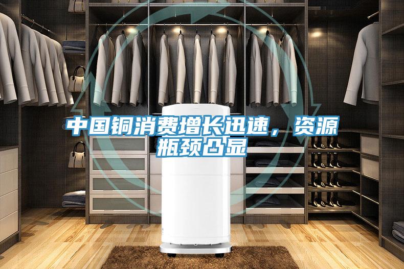 中國銅消費(fèi)增長迅速，資源瓶頸凸顯