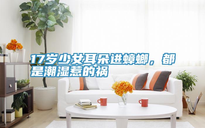 17歲少女耳朵進蟑螂，都是潮濕惹的禍