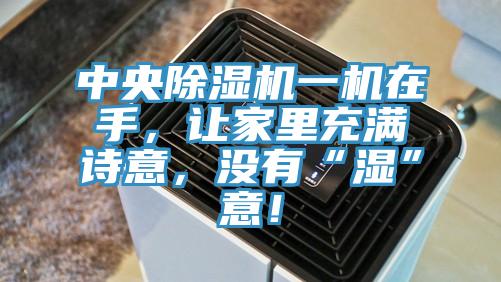 中央除濕機(jī)一機(jī)在手,讓家里充滿詩(shī)意,沒有“濕”意!