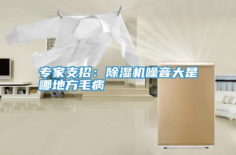 專家支招:除濕機噪音大是哪地方毛病