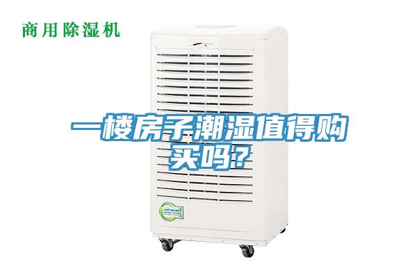 一樓房子潮濕值得購買嗎？