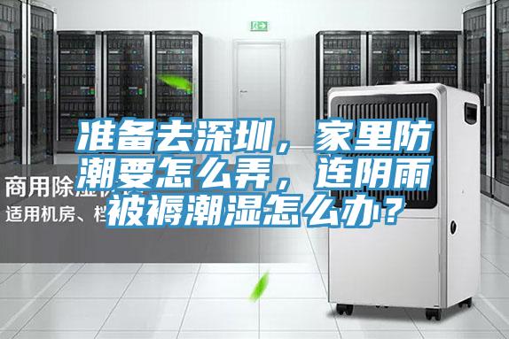 準備去深圳，家里防潮要怎么弄，連陰雨被褥潮濕怎么辦？