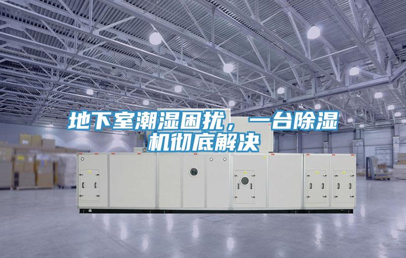 地下室潮濕困擾，一臺除濕機徹底解決