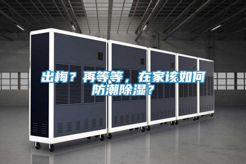 出梅？再等等，在家該如何防潮除濕？