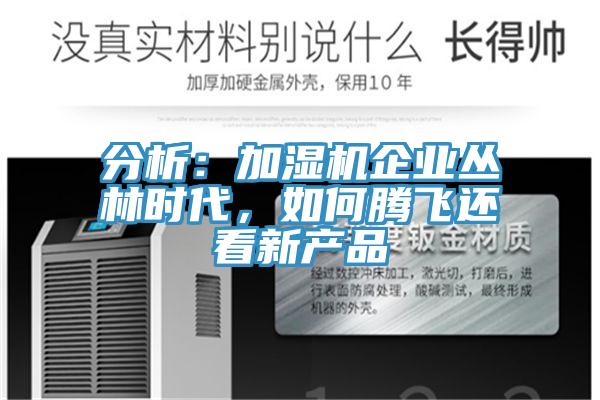 分析:加濕機企業叢林時代,如何騰飛還看新產品