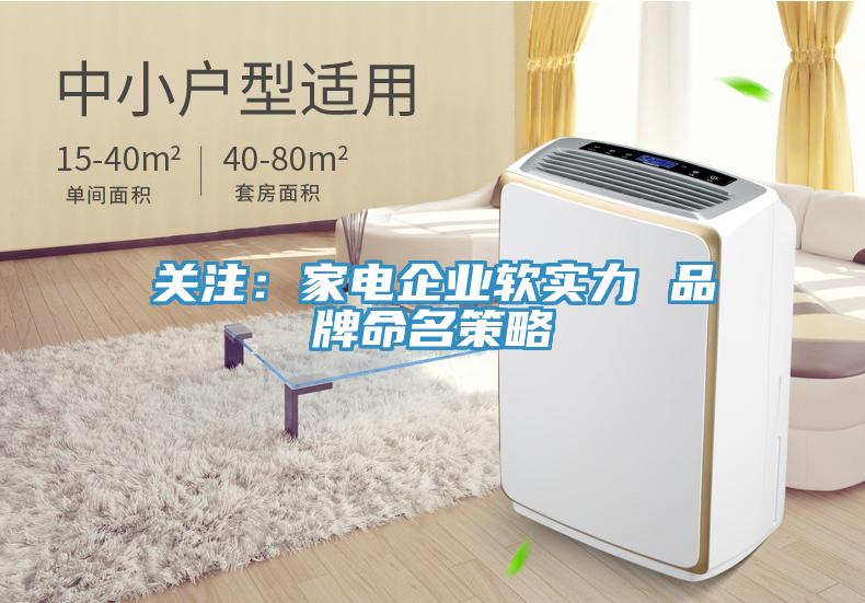 關注:家電企業(yè)軟實力 品牌命名策略