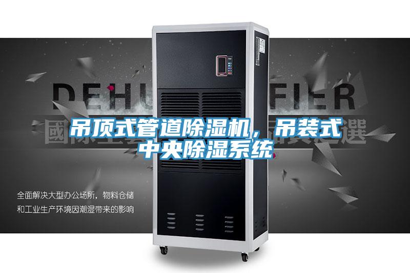 吊頂式管道除濕機,吊裝式中央除濕系統