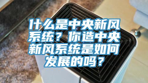 什么是中央新風系統？你造中央新風系統是如何發展的嗎？