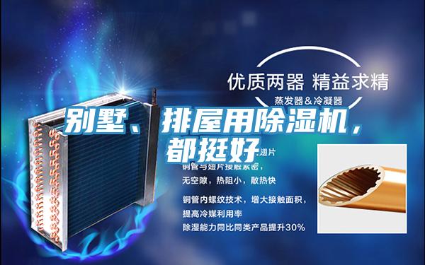 別墅、排屋用除濕機(jī)，都挺好