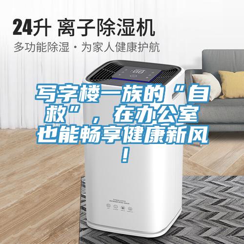 寫字樓一族的“自救”,在辦公室也能暢享健康新風!