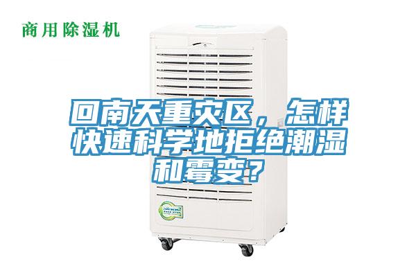 回南天重災區，怎樣快速科學地拒絕潮濕和霉變？