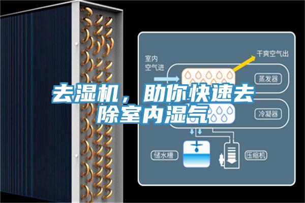 去濕機，助你快速去除室內濕氣