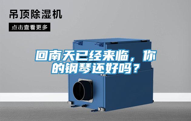 回南天已經(jīng)來臨，你的鋼琴還好嗎？