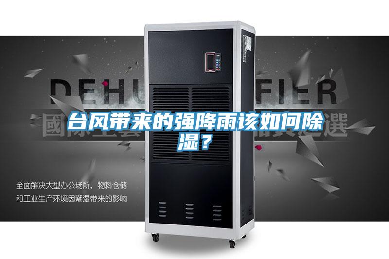 臺風帶來的強降雨該如何除濕？
