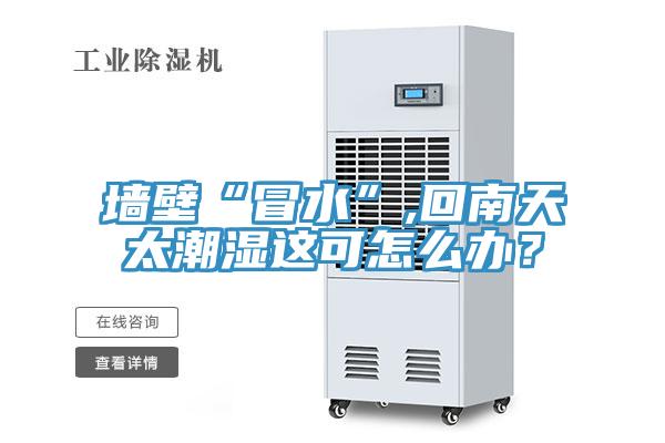 墻壁“冒水”,回南天太潮濕這可怎么辦？