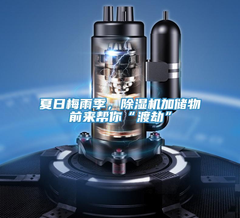 夏日梅雨季,除濕機加儲物前來幫你“渡劫”