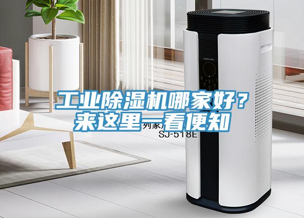 工業除濕機哪家好？來這里一看便知