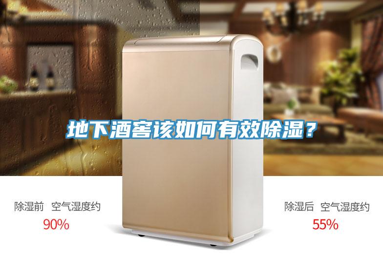 地下酒窖該如何有效除濕？