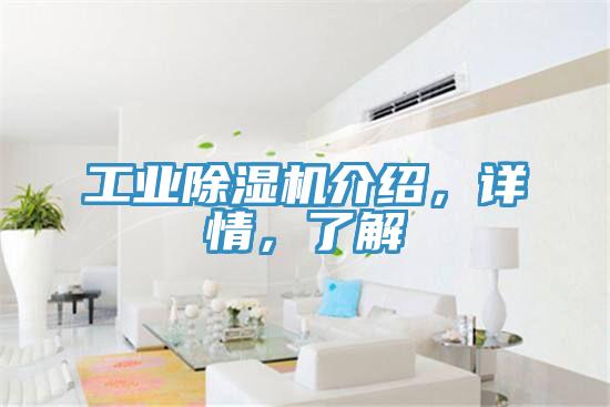工業(yè)除濕機(jī)介紹，詳情，了解