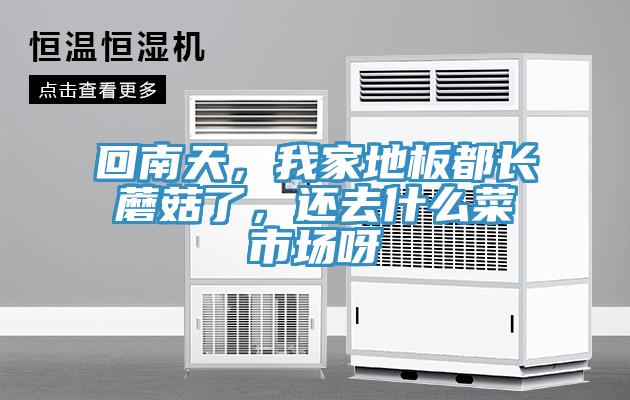 回南天，我家地板都長蘑菇了，還去什么菜市場呀