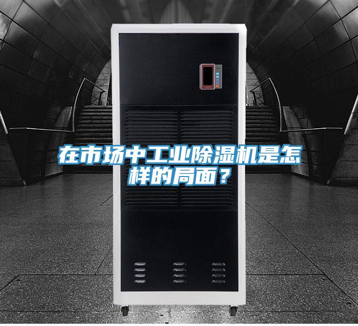 在市場中工業除濕機是怎樣的局面?