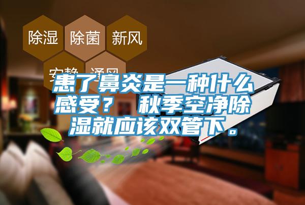 患了鼻炎是一種什么感受？ 秋季空凈除濕就應(yīng)該雙管下。