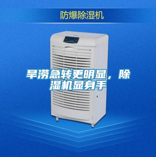 旱澇急轉更明顯，除濕機顯身手