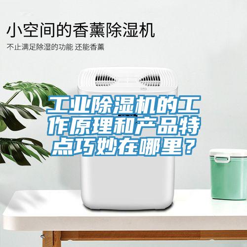 工業除濕機的工作原理和產品特點巧妙在哪里?