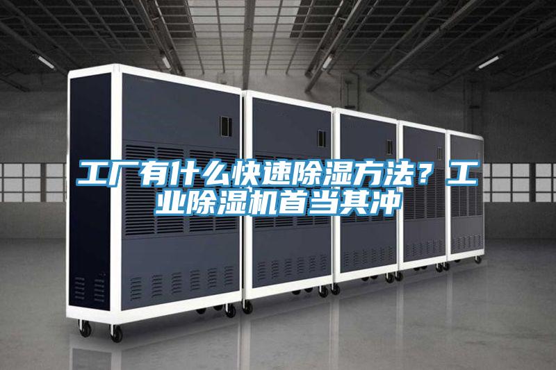 工廠有什么快速除濕方法？工業除濕機首當其沖