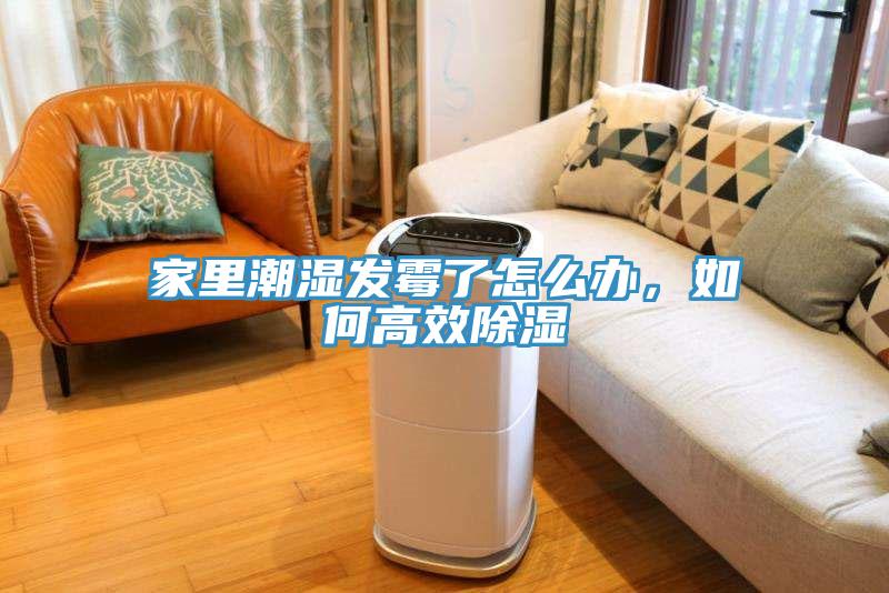 家里潮濕發(fā)霉了怎么辦,如何高效除濕