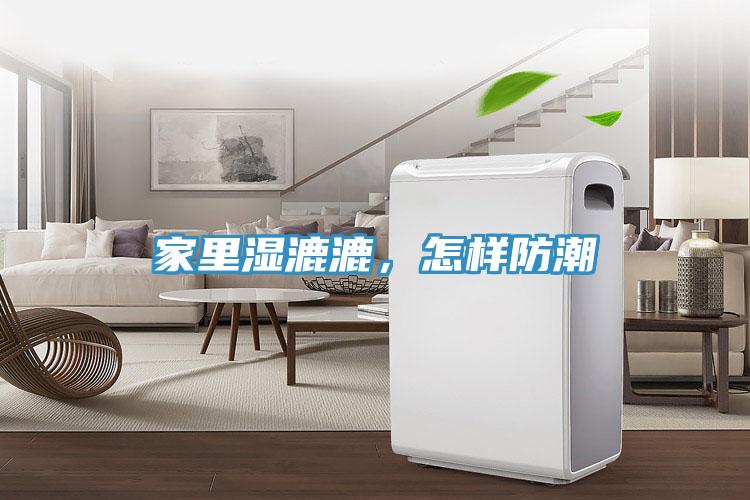 家里濕漉漉,怎樣防潮