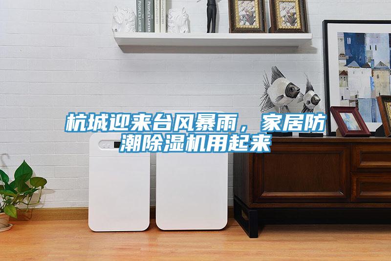 杭城迎來臺風暴雨,家居防潮除濕機用起來