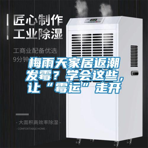 梅雨天家居返潮發霉？學會這些，讓“霉運”走開