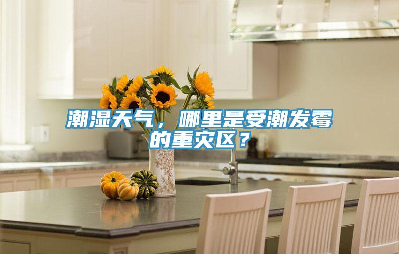 潮濕天氣，哪里是受潮發(fā)霉的重災(zāi)區(qū)？