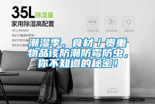 潮濕季，食材／貴重物品該防潮防霉防蟲，你不知道的秘密！