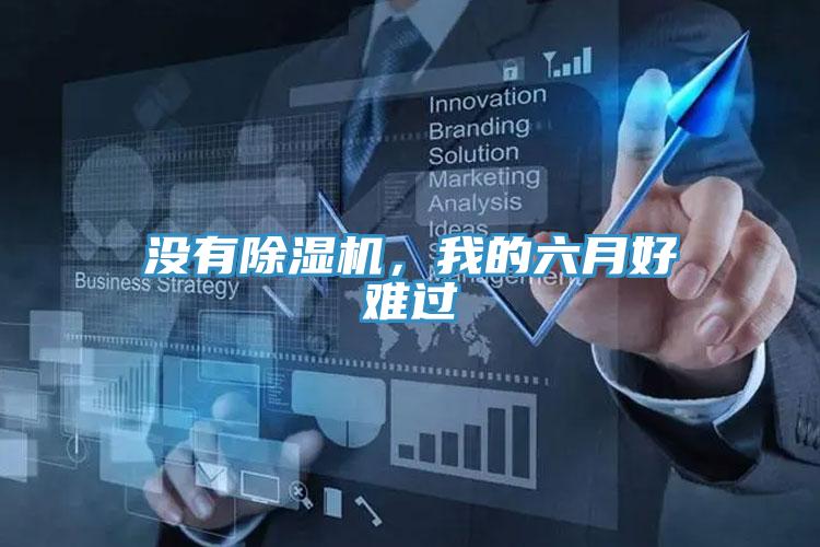 沒有除濕機，我的六月好難過