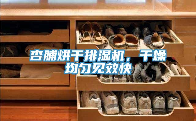 杏脯烘干排濕機(jī)，干燥均勻見(jiàn)效快