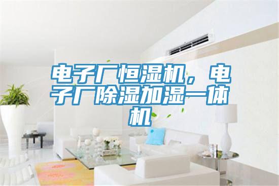電子廠恒濕機,電子廠除濕加濕一體機