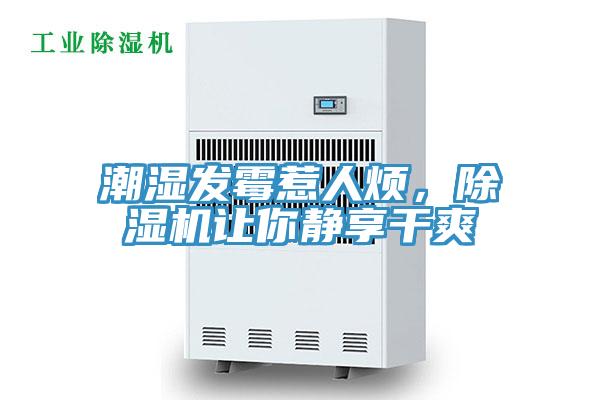 潮濕發(fā)霉惹人煩,除濕機(jī)讓你靜享干爽