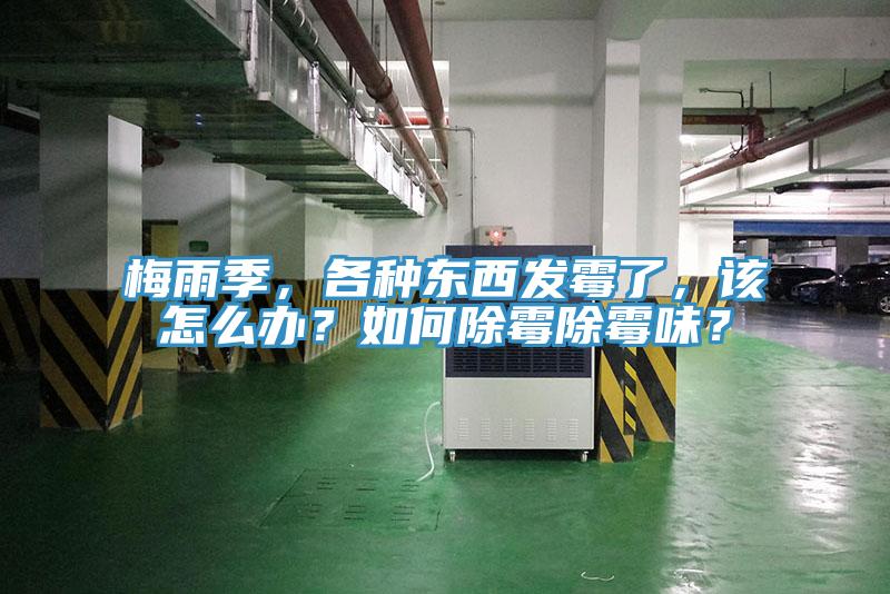 梅雨季，各種東西發霉了，該怎么辦？如何除霉除霉味？