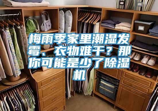梅雨季家里潮濕發(fā)霉、衣物難干？那你可能是少了除濕機