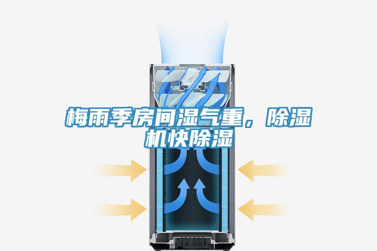 梅雨季房間濕氣重，除濕機快除濕