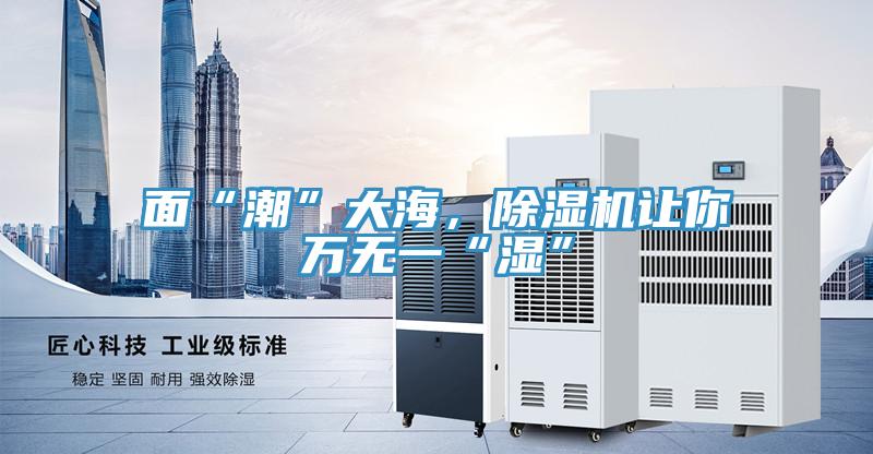 面“潮”大海，除濕機(jī)讓你萬(wàn)無(wú)一“濕”