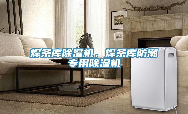 焊條庫(kù)除濕機(jī),焊條庫(kù)防潮專(zhuān)用除濕機(jī)