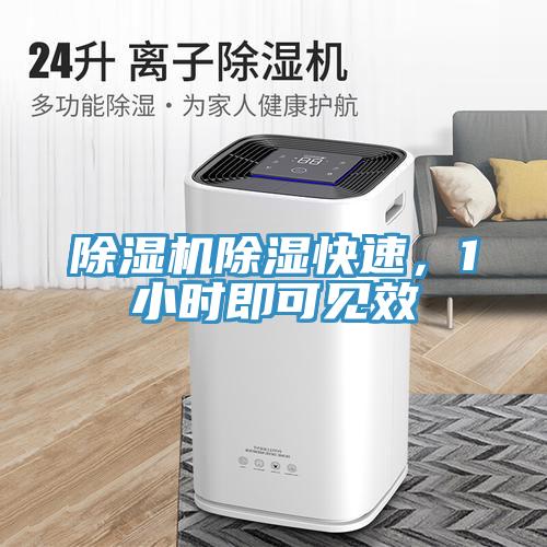 除濕機(jī)除濕快速，1小時即可見效