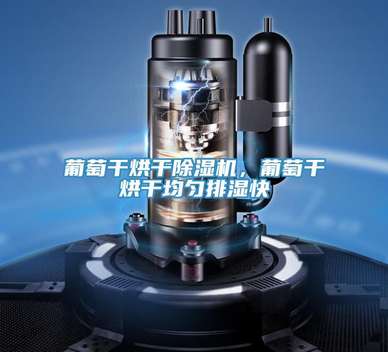 葡萄干烘干除濕機，葡萄干烘干均勻排濕快