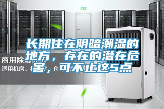 長期住在陰暗潮濕的地方，存在的潛在危害，可不止這5點