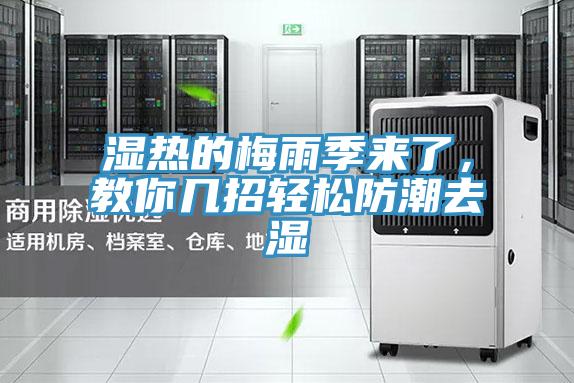 濕熱的梅雨季來了，教你幾招輕松防潮去濕