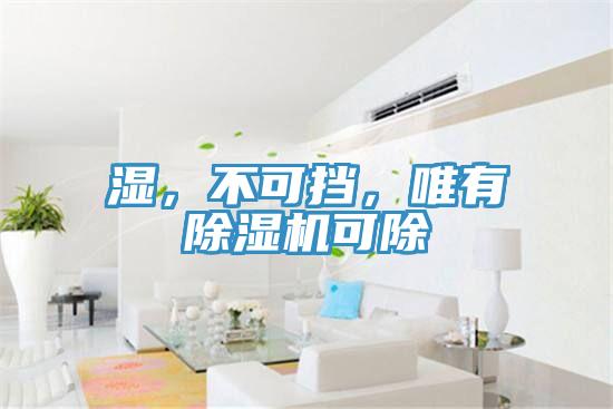 濕,不可擋,唯有除濕機(jī)可除