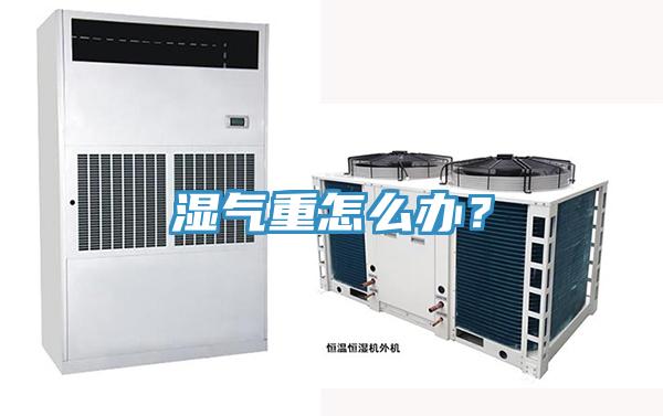 濕氣重怎么辦？